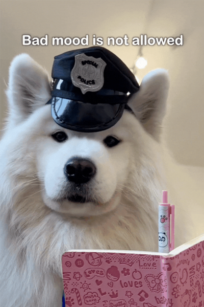 Young man with curly hair and beard in a thoughtful pose