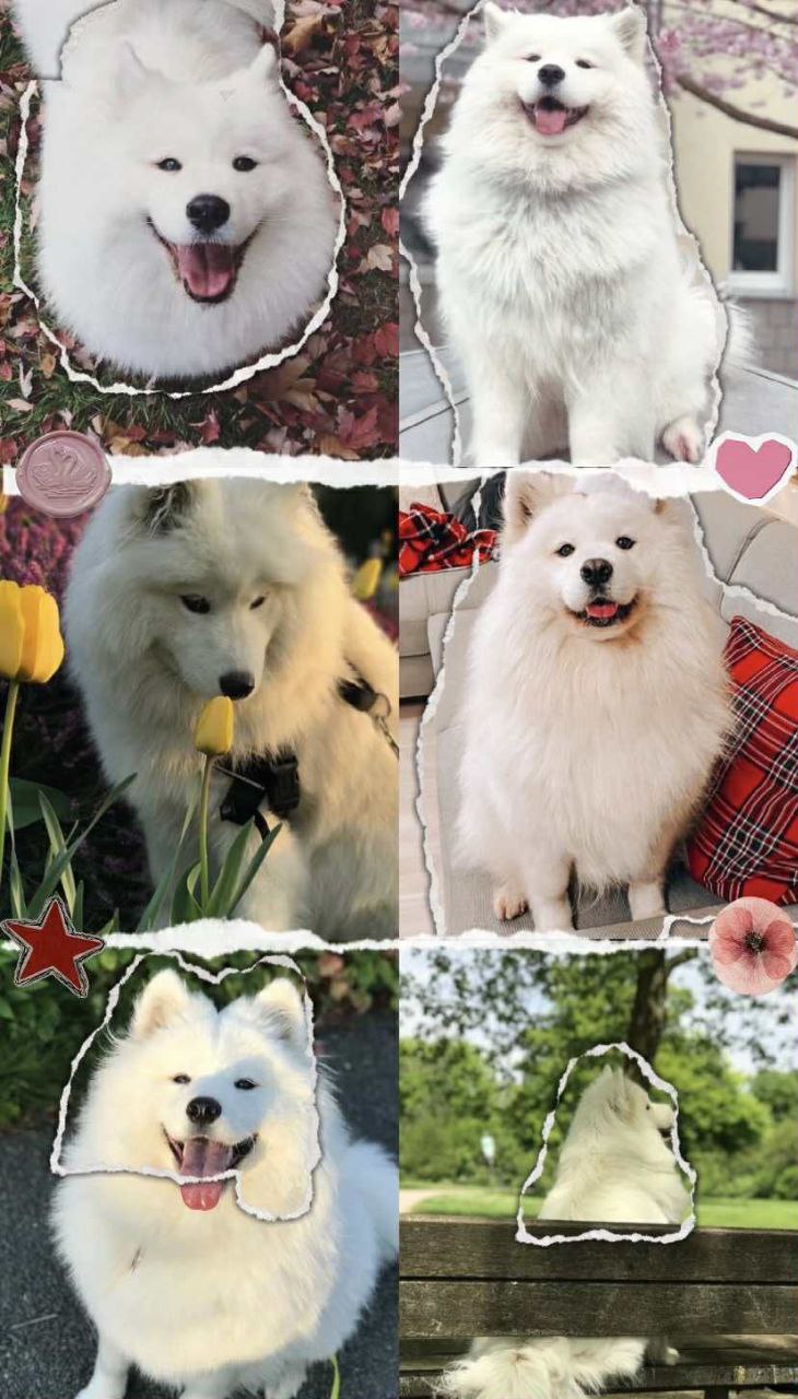 Man with short hair and hoodie smiling gently