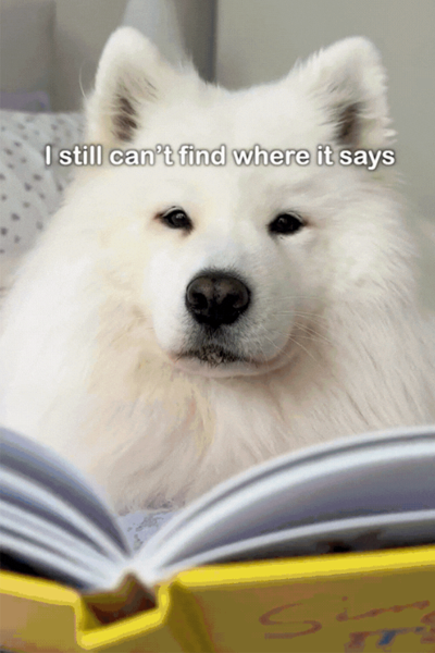 Man with short hair and hoodie smiling gently